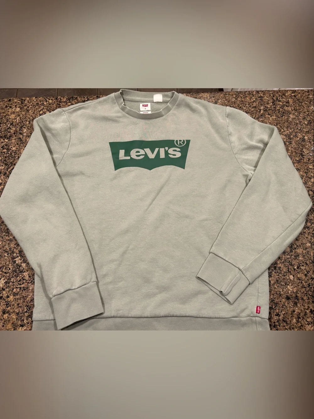 Levi's Light Sage Green Logo Crewneck Sweatshirt